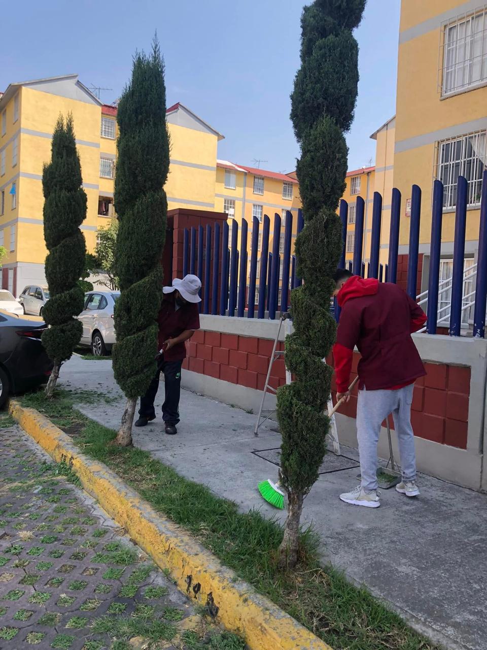 Trabajo de limpieza profesional de tapicería en CDMX 11